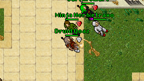 Druid Qoaz on screen