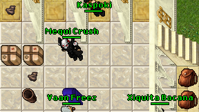 Kaspoki on screen