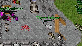 Tiger Sniper on screen