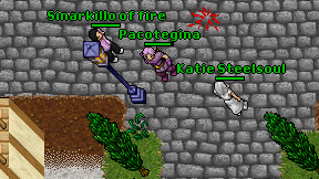 Pacotegina on screen