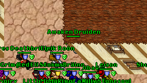 Awaken Druiden on screen