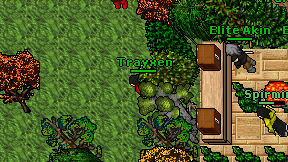 Trayxen on screen