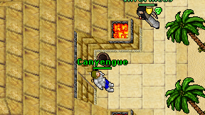 Canyengue on screen