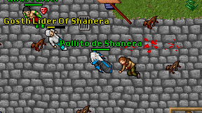 Pollito de Shanera on screen