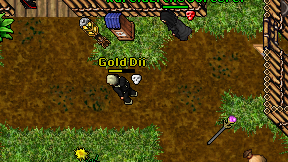 Gold Dii on screen
