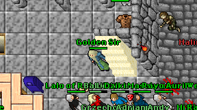 Golden Sir on screen