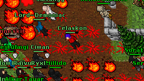 Celaskon on screen