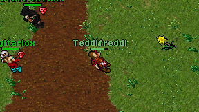 Teddifreddi on screen