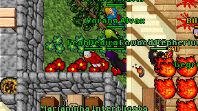 Feah Flayen on screen