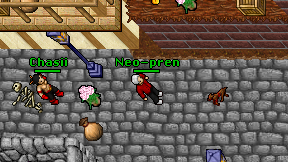 Neo-pren on screen