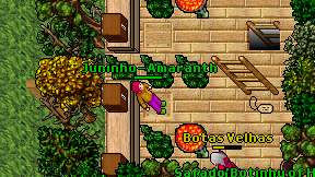 Juninho-Amaranth on screen