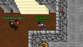 Vokabu on screen