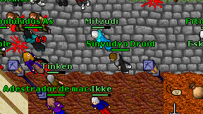 Sinvudyo Druid on screen