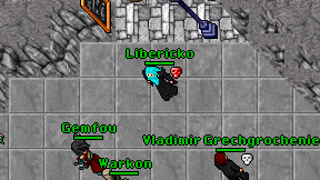 Libericko on screen