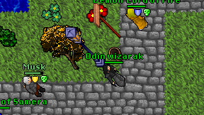 Odin wizarak on screen