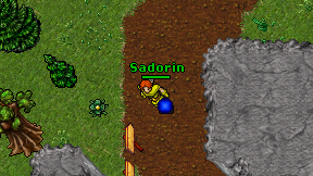 Sadorin on screen