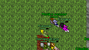 Nauom on screen