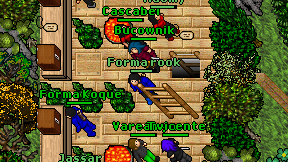 Forma rook on screen