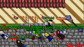 Rybid on screen