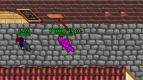 Pain Flype on screen