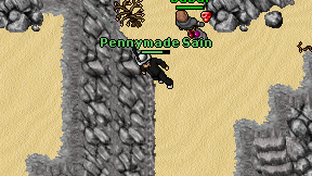 Pennymade Sain on screen