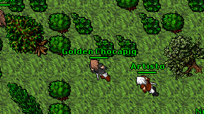Golden Chocapiq on screen
