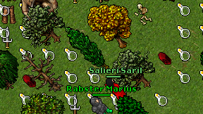 Salieri Saril on screen
