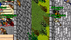 Czitazinha on screen