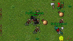 Pacio Palek on screen