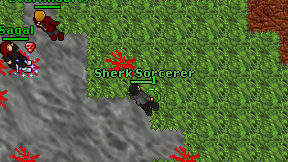 Sherk Sorcerer on screen