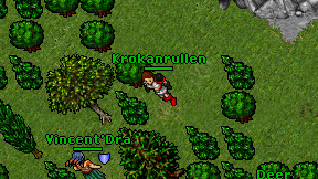 Krokanrullen on screen