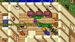 Mirrex on screen