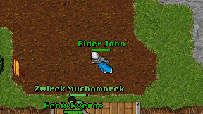 Elder John on screen