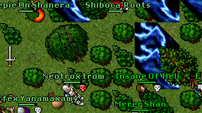 Shiboca'Roots on screen