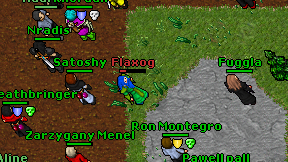 Flaxog on screen