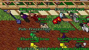 Wietek on screen