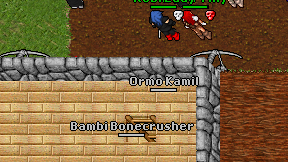 Ormo Kamil on screen
