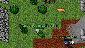 Antanganistic adam on screen