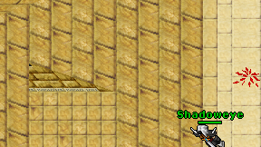 Guardian of Hoenn on screen