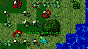 Master Yoreczek on screen