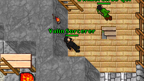 Valin Sorcerer on screen