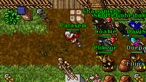 Palasem on screen