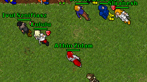 Athin Zidam on screen