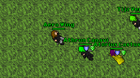 Aero Wing on screen