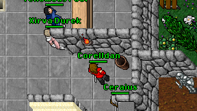 Corelldan on screen