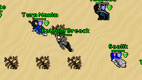 Paladin'Breack on screen