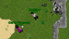 Barllow on screen