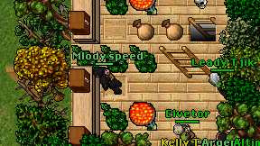 Mlody speed on screen