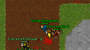 Grim Shadows on screen