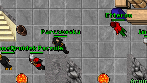 Parczewska on screen